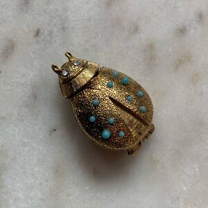 Vintage Beetle Brooch/Locket